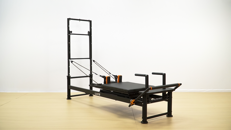 V5 Reformer